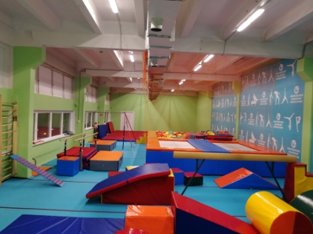 гимнастика для детей на красногвардейской
