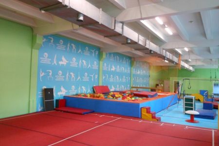 Гимнастический ковер для групповых занятий по гимнастике и акробатике